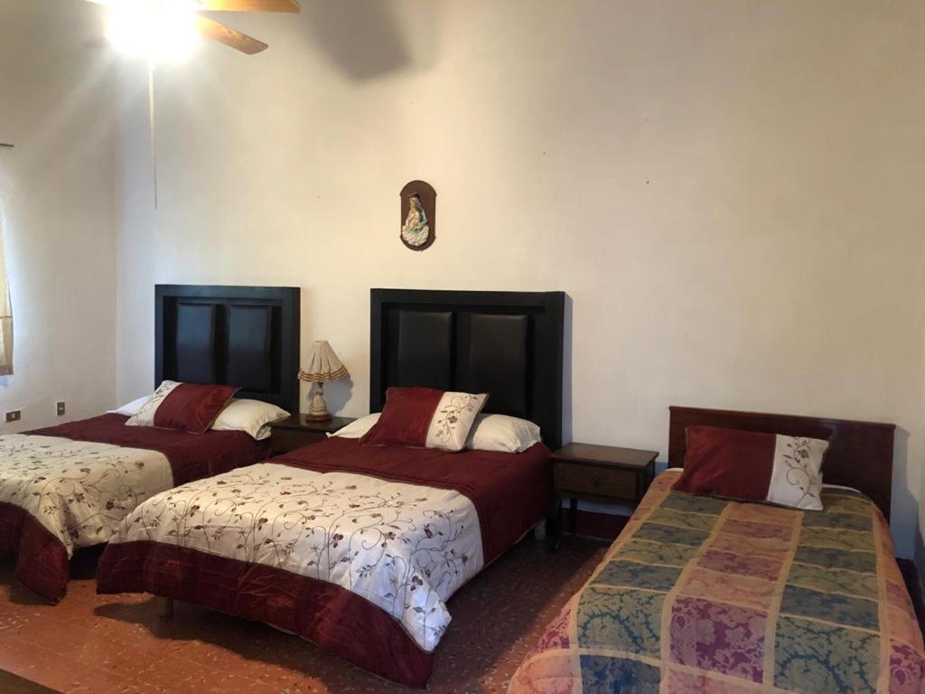 Hostal La Espanola Parras パラス・デ・ラ・フエンテ エクステリア 写真